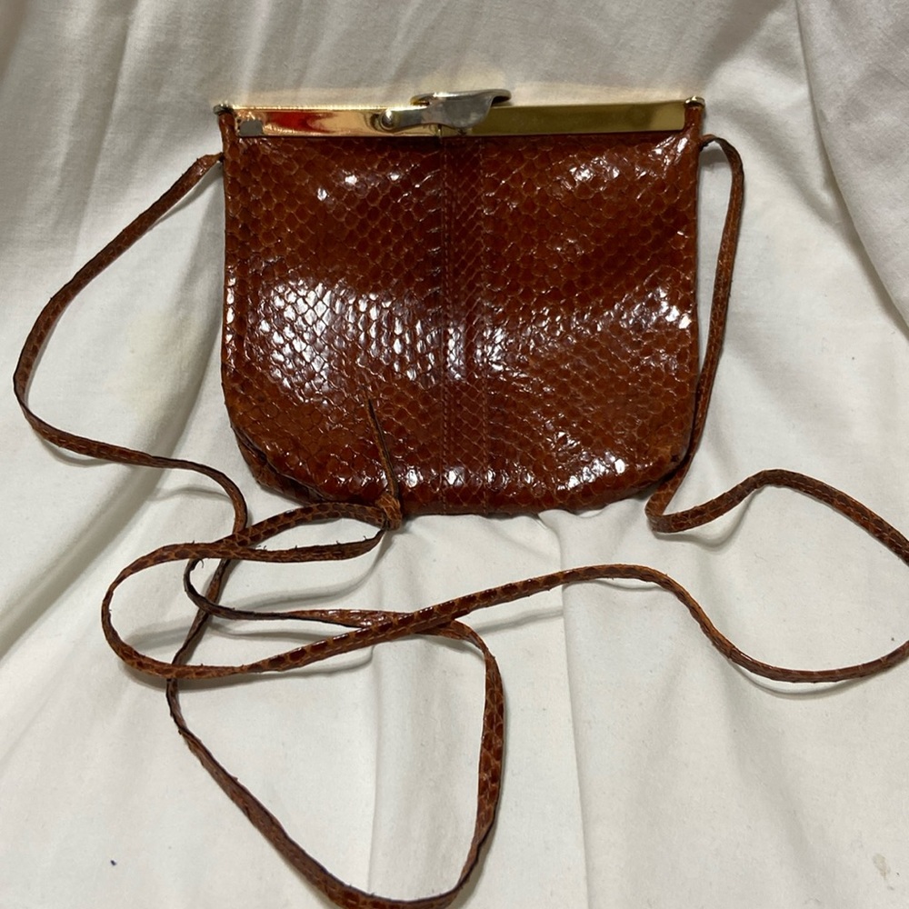 Vintage Small Dark Brown Snake Skin Evening Purse W/Thin Strap Metal hardware - Picture 1 of 12